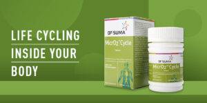 Why Liz Wellness Hub Products Are Essential for Your Health